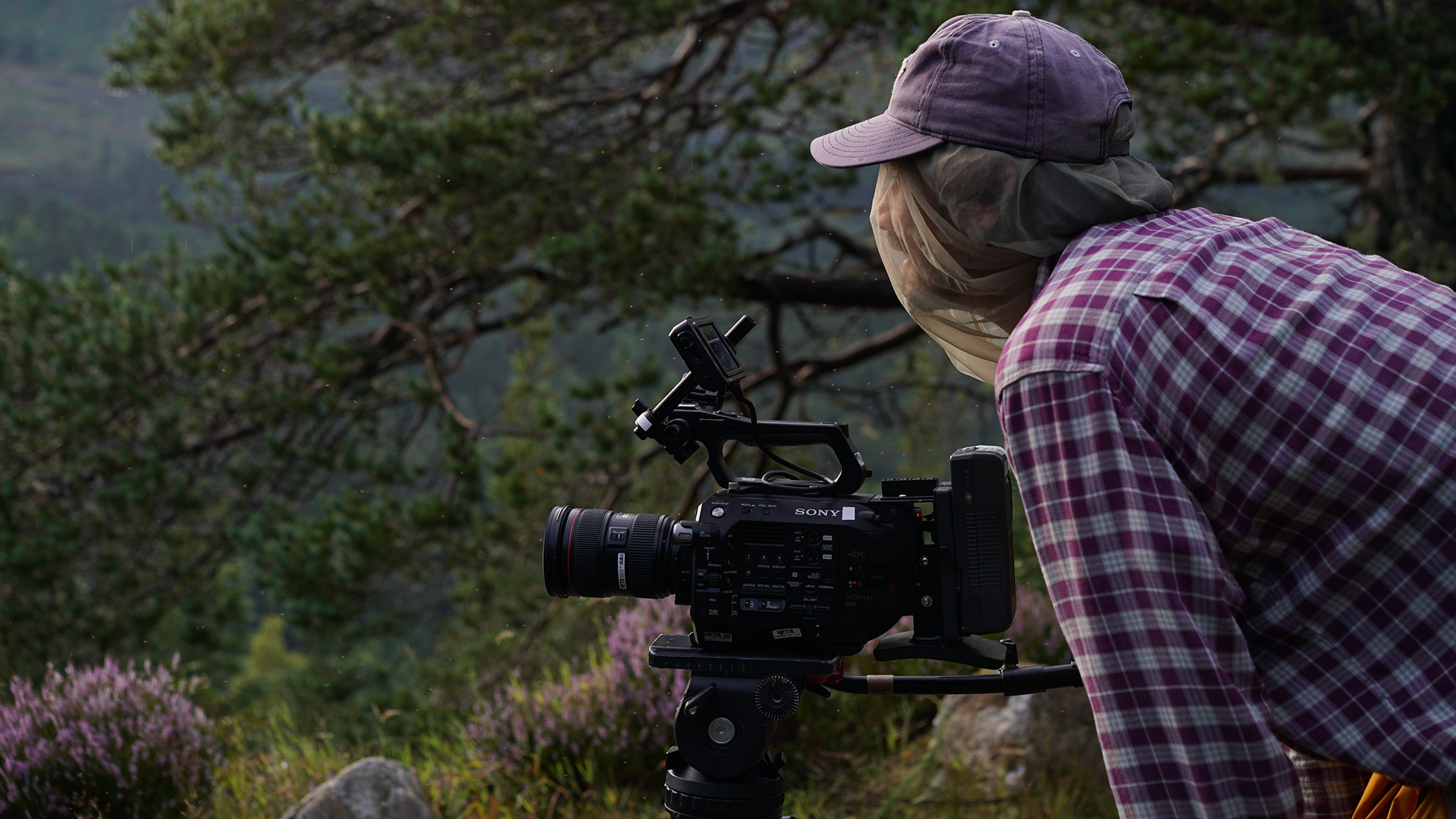 Directing and Producing Science and Natural History course link